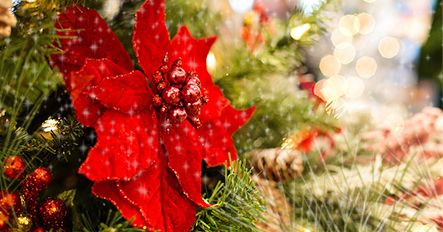 Зажигаем огоньки