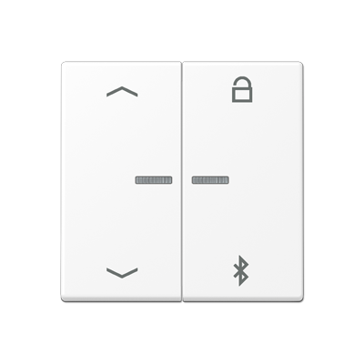 

A1751BFPBTWWM Таймер универсальный Bluetooth «стрелки» белоснежный матовый Jung A серия, A flow A1751BFPBTWWM