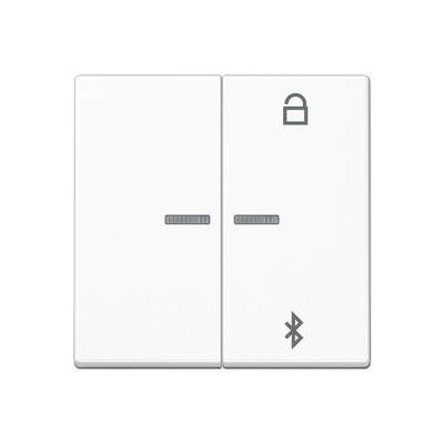

A1751BFBTWW Таймер универсальный Bluetooth белый Jung A серия, A flow A1751BFBTWW