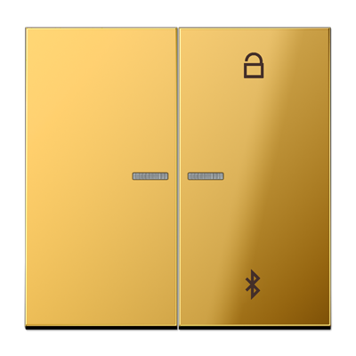 

GO1751BT имитация золота Таймер универсальный Bluetooth Jung LS серия, LS ZERO GO1751BT