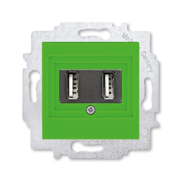 

USB зарядка двойная ABB Levit зелёный 5014H-A00040 67W 2CHH290040A6067, Levit 5014H-A00040 67W