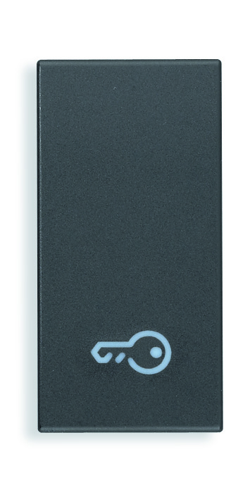 

20021.P Клавиша на 1 модуль символом "ключ" Vimar Eikon, Eikon Total Look 20021.P