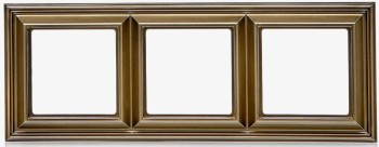 EPD483CH Рамка ECO Profi Deco шампань 3-постовая гор/верт. Jung фото