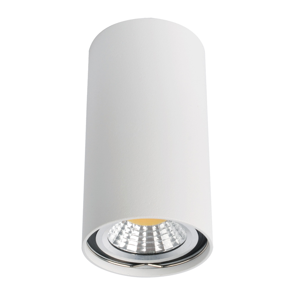 

Потолочный светильник Arte Lamp A1516PL-1WH, Белый, 1516 A1516PL-1WH