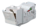 

FD-T6-M Разъем компьютерный RJ45 cat.5e cat.5E Tool-Free, цвет Черный FEDE, Vintage Wood FD-T6-M