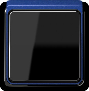 CDP82BLM Рамка внутренняя CD Plus Синий металик 1-постовая Jung фото