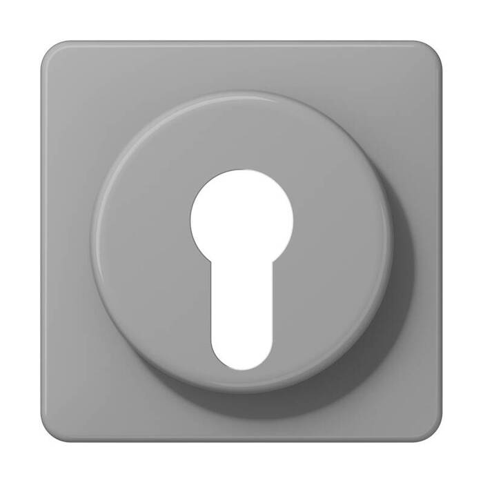 

CD528GR Крышка для выключателя с замком серая Jung, CD Ударопрочная CD528GR