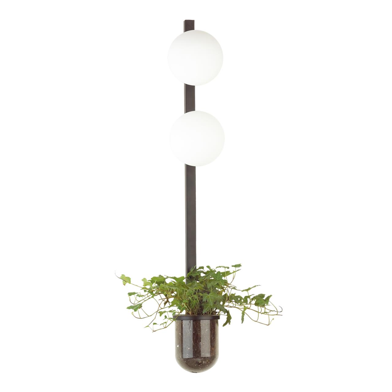 

Бра Flower 4681/2WA Odeon Light, Чёрный, Flower 4681/2WA