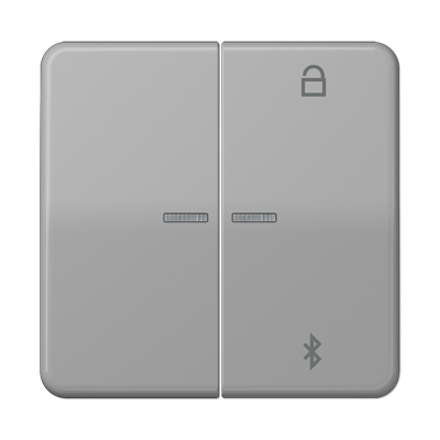 

CD1751BTGR CD 500/CD plus Таймер универсальный Bluetooth серый Jung, CD 500 CD1751BTGR