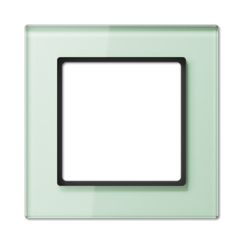 AC581GLWMT Рамка A Creation Матовое стекло 1-постовая Jung фото