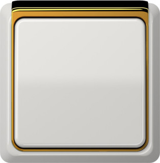 CDP82GGO Рамка внешняя CD Plus Полированное золото 1-постовая Jung фото