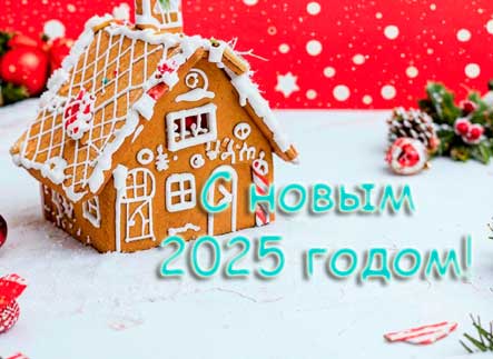 С Новым 2025 годом!