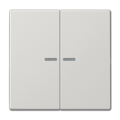 

LS995KO5LG LS 990 Светло-серый Клавиша 2-я с/п Jung LS серия, LS ZERO LS995KO5LG