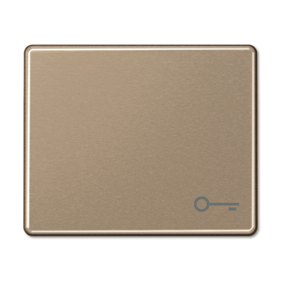 

SL590TGB SL 500 Бронза Клавиша 1-я с символом "КЛЮЧ" Jung, SL 500 SL590TGB