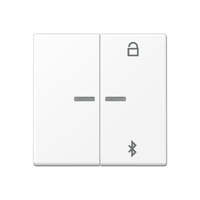 

A1751BFBTWWM Таймер универсальный Bluetooth белоснежный матовый Jung A серия, A flow A1751BFBTWWM