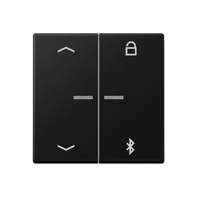 

A1751BFPBTSWM Таймер универсальный Bluetooth «стрелки» матовый чёрный графит Jung A серия, A flow A1751BFPBTSWM