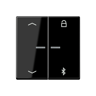 

A1751PBTSW Таймер универсальный Bluetooth «стрелки» черный Jung A серия, A flow A1751PBTSW
