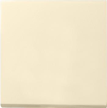 

054301 Накладка кнопочного светорегулятора Кремовый Gira, Standard 55 054301