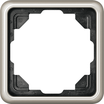 CD581PT Рамка CD 500 Платина 1-постовая Jung фото