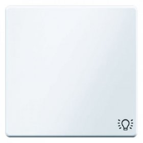 

16206049 Клавишный выключатель с оттиском символа света цвет: полярная белизна, с эффектом бархата, Q.1 Berker, Q.7 16206049