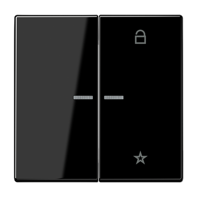 

LS1701SW черный Центральная плата универсальная Jung LS серия, LS ZERO LS1701SW