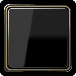 CDP81GGO Рамка внутренняя CD Plus Полированное золото 1-постовая Jung фото