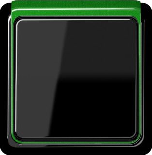 CDP82GNM Рамка внешняя CD Plus Зеленый металлизированный 1-постовая Jung фото