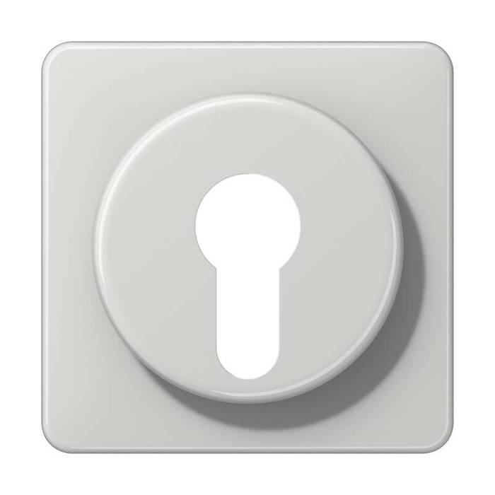 

CD528LG Крышка для выключателя с замком светло-серая Jung, CD Ударопрочная CD528LG