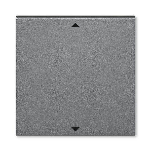 

Управляющий элемент Busch-Jalousiecontrol®II ABB Levit с маркировкой сталь / дымчатый чёрный 3299H-A00110 69 2CHH700110A4069, Levit 3299H-A00110 69
