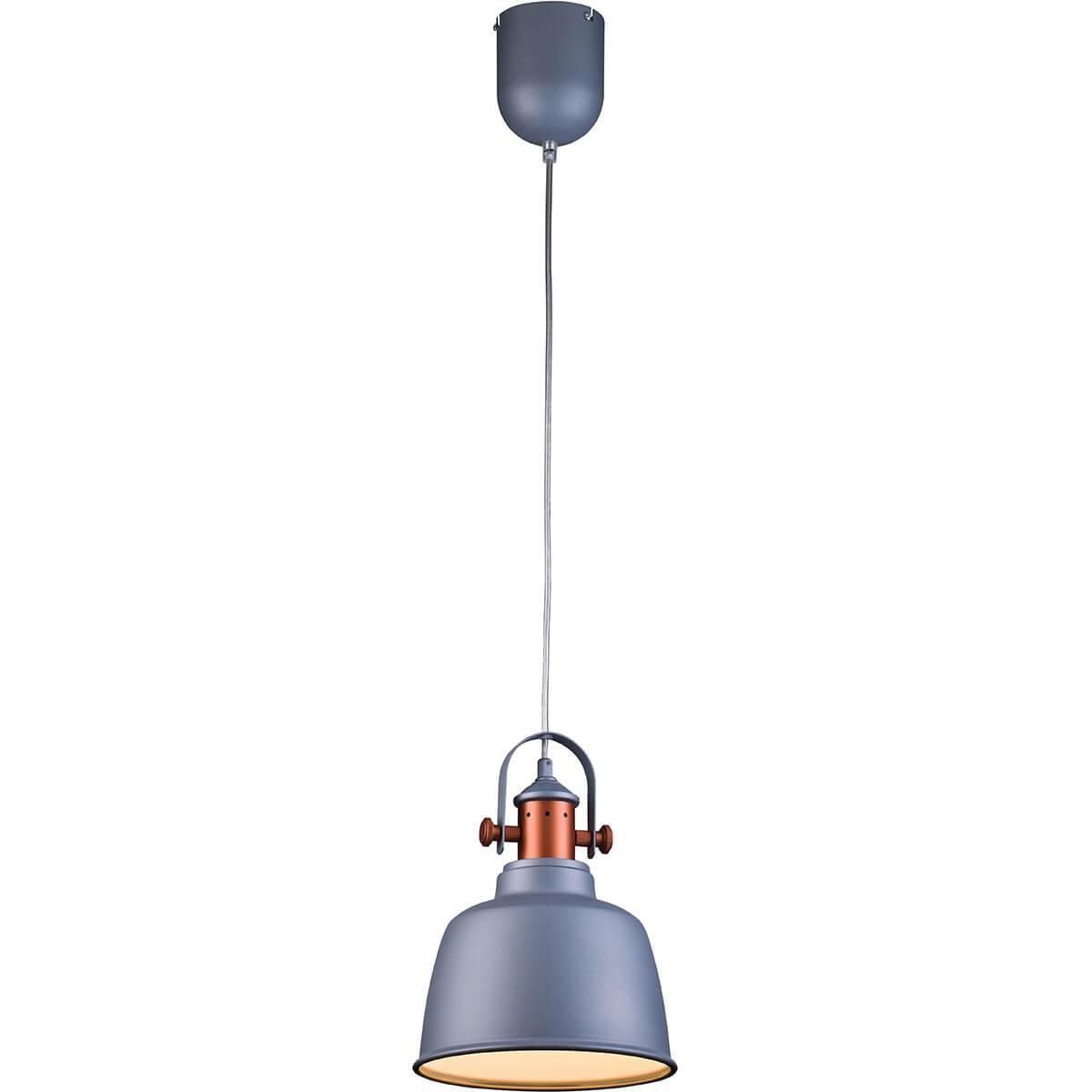 

Подвесной светильник Lucia Tucci Industrial 1820.1 Sand Silver, Серебро, Industrial Silver Industrial 1820.1 Sand Silver