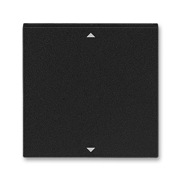 

Управляющий элемент Busch-Jalousiecontrol®II ABB Levit с маркировкой антрацит / дымчатый чёрный 3299H-A00110 63 2CHH700110A4063, Levit 3299H-A00110 63