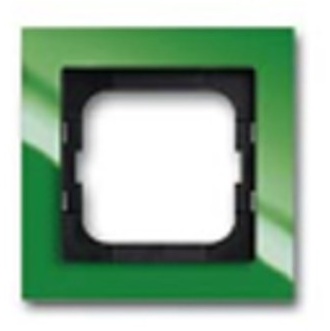 1754-0-4337 Рамка Axcent Зеленый 1-постовая ABB фото