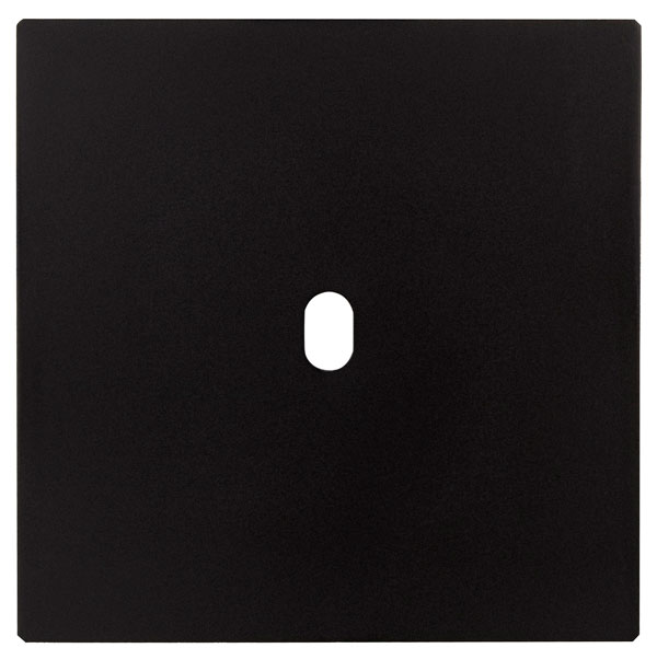 

90C32C00 Fontini 5.1 Двойная панель для 2 немецких розеток BRUSHED MATT BLACK (без наружной рамки)горизонт., 5.1 90C32C00