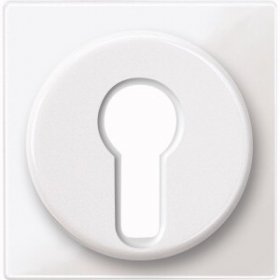 

MTN319519 Центр. плата для пер-ля с фиксатором Merten, M-Smart MTN319519