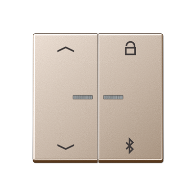 

A1751PBTCH Таймер универсальный Bluetooth «стрелки» шампань Jung A серия, A flow A1751PBTCH