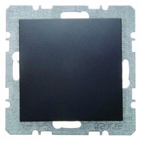 

6710091606 Заглушка с центральной панелью цвет: антрацит, матовый B.1/B.3/B.7 Glas Berker, S.1 6710091606