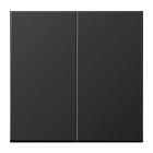 AL2995D Dark 2-Х Клавишный выключатель  Jung LS серия