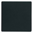 16206086 Клавиша Q.1 Berker