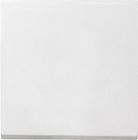 029627 Клавиша одинарная Белый матовый Gira