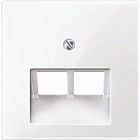 MTN296125 Центр. плата телекомм.механизма TF/DATA. 2-я наклонная,активно белый Merten