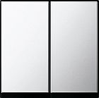 0295605 Клавиша двойная Хром Gira