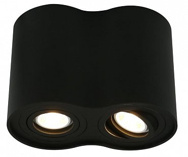 Потолочный светильник Arte Lamp A5644PL-2BK фото