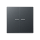 A595BFKO5ANM Выключатель двухклавишный с подсветкой Jung, 10А/250В