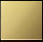 0296604 Клавиша одинарная Латунь Gira