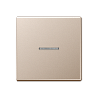 EP490KOCH EcoProfi Jung A 500 шампань Клавиша для одинарного выключателя с окошком