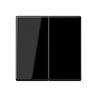 A595BFSW А 500 Черный Клавиша 2-я Jung A серия