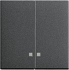 063128 Накладка двухклавишная с контрольными окнами Антрацит Gira