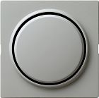 029642 Клавиша одинарная Серый Gira S-color