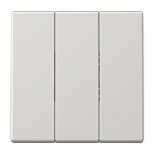 LS993BFLG A LS Тройная клавиша Jung LS серия