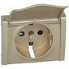 771422 Galea Life Лицевая панель розетки 2к+З с защитными шторками с крышкой, титан Legrand